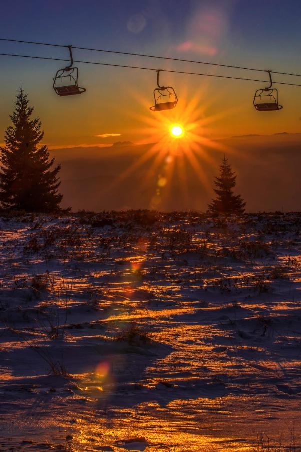 Milmari Resort M16 Markovic Kopaonik Bagian luar foto